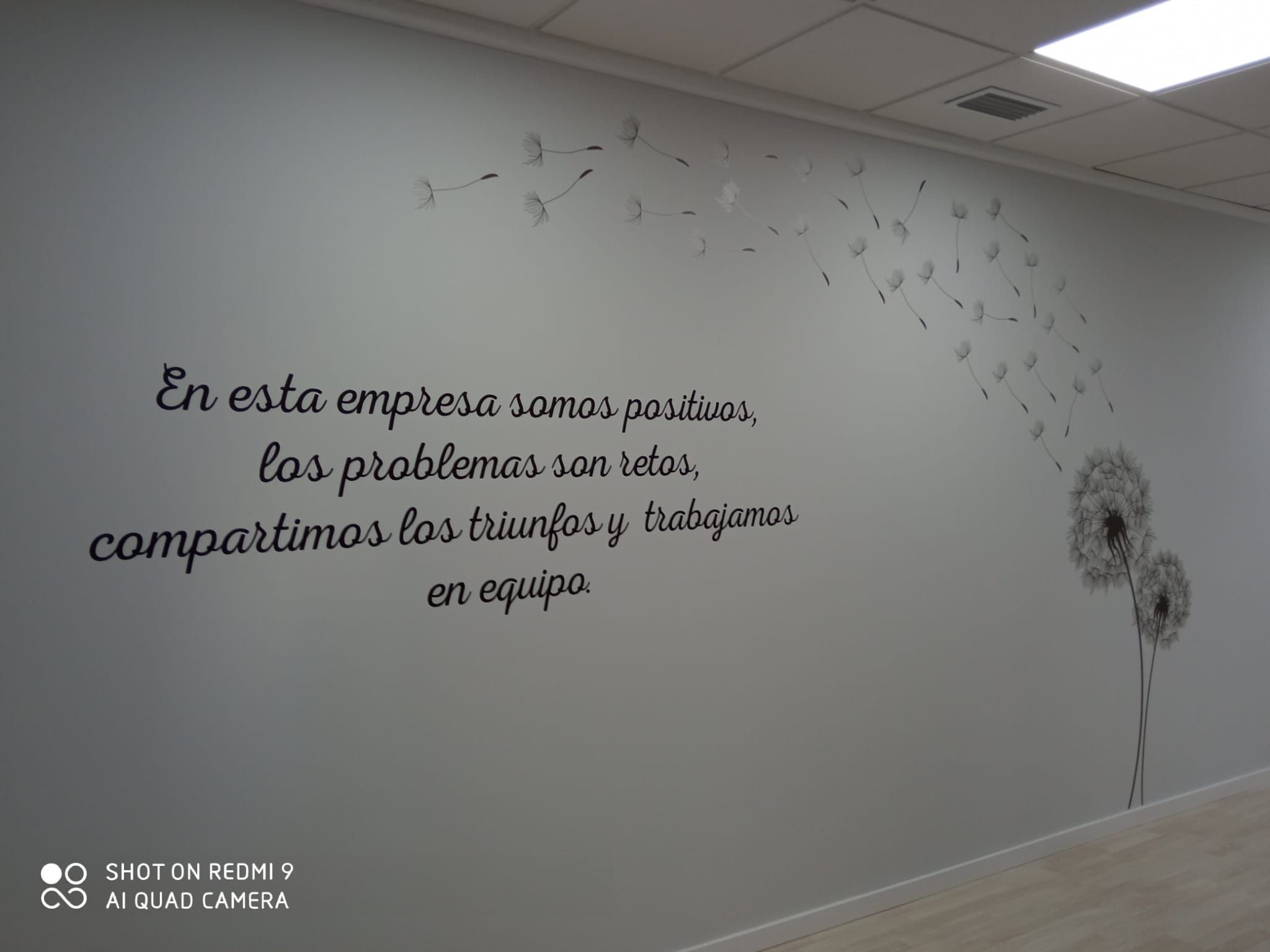 rotulos luminosos asesoria